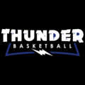 Next Level Basketball